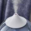 Spear & Jackson 1L Diffuser